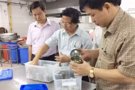 Xử phạt 17 cơ sở vi phạm về an toàn thực phẩm 