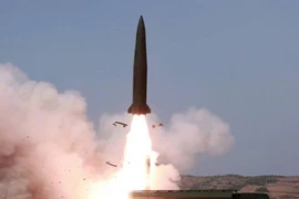 SOHR: Nga phóng tên lửa hành trình Iskander diệt phiến quân ở Bắc Syria