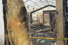 Căn cứ Mỹ ở Iraq bị phá hủy nặng nề bởi tên lửa?