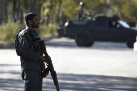 Afghanistan tiêu diệt thủ lĩnh Al-Qaeda, cáo buộc Taliban “bảo vệ” đối tượng