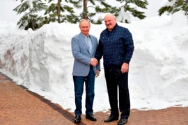 [ẢNH] Tiết lộ nội dung cuộc hội đàm trực tiếp giữa hai nhà lãnh đạo Nga, Belarus