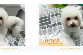 Fagopet – ‘điểm đến’ hài lòng cho thú cưng của mỗi gia đình 