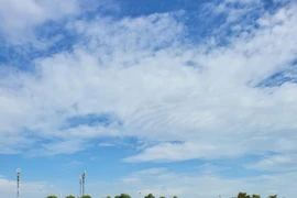 Xử lý triệt để hiện tượng trưng dụng đất công tập kết ô tô