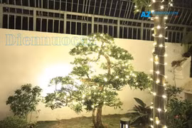 Hệ thống đèn led trang trí cây ngoài trời chiếu sáng đô thị uy tín tại Hà Nội