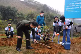 25.000 cây xanh trao tặng người dân và chính quyền xã Dương Quỳ