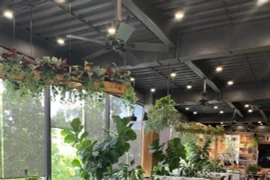 Năm phong cách thiết kế quán cà phê tiêu biểu