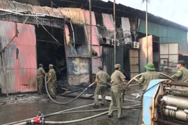 ‘Vốn quý” của quận Long Biên