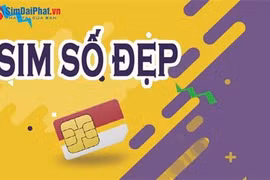  Sim Đại Phát - Địa chỉ cung cấp sim số đẹp 