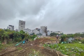 Người dân tự nguyện bàn giao mặt bằng dự án hạ tầng quan trọng tại phường Bồ Đề