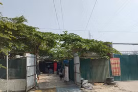 Từng bước xử lý, kiểm soát hành vi vi phạm an toàn lưới điện