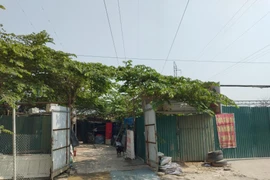 Từng bước xử lý, kiểm soát hành vi vi phạm an toàn lưới điện