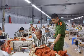 Quản lý, cảm hóa và hướng nghiệp cho phạm nhân