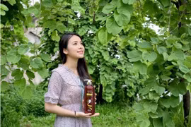 Chăm tóc khỏe đẹp với dầu gội dược liệu Thái Dương – Mượt mà lành tính