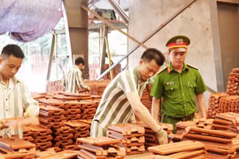Tổ chức lao động, hướng nghiệp, dạy nghề cho phạm nhân ngoài trại giam: Một chính sách cần thiết và nhân văn