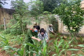 Bài 2: Mong ước cơ hội làm lại cuộc đời