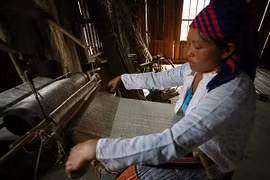 Độc đáo nghề "biến cây" thành vải