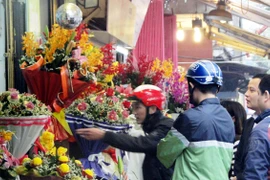 Ngày 8-3: Chơi hoa cảnh giác thuốc trừ sâu