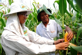 Nông nghiệp cam kết giảm 50% phát thải khí nhà kính