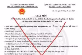 Tổ chức, cá nhân, hộ kinh doanh cảnh giác với thư mời giả mạo cơ quan thuế