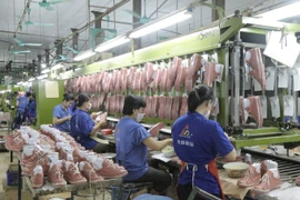 Liên tiếp tăng trần, cổ phiếu Giầy Thượng Đình gấp 2,5 lần chỉ sau 7 phiên