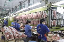 Liên tiếp tăng trần, cổ phiếu Giầy Thượng Đình gấp 2,5 lần chỉ sau 7 phiên