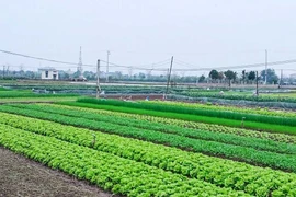 Giảm 30% tiền thuê đất năm 2025