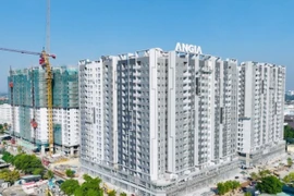 Sử dụng 92 tài khoản thao túng cổ phiếu AGG: Phạt nặng 1 cá nhân, 1 doanh nghiệp và 26 nhà đầu tư 