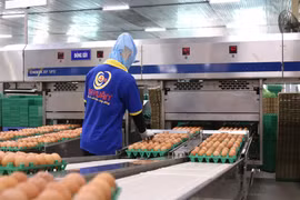Chủ thương hiệu trứng Ba Huân bị cưỡng chế dừng làm thủ tục hải quan do nợ thuế