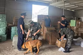 Tháng cao điểm chống buôn lậu: Hải quan bắt giữ 93 vụ vi phạm