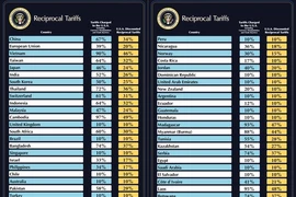 Tổng thống Mỹ ký sắc lệnh thuế đối ứng, Việt Nam chịu mức 46%
