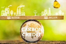 Thí điểm vận hành sàn giao dịch carbon từ năm 2025