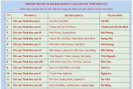 Tổ chức lại 20 Chi cục Thuế thành 34 Thuế Nhà nước tỉnh, thành phố trực thuộc trung ương