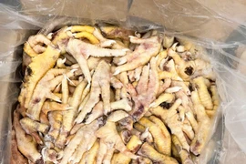 Khởi tố một doanh nghiệp xuất khống 1.400 tấn chân gà đông lạnh để trốn thuế 