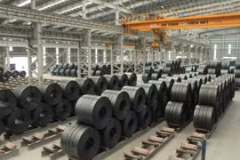 Không để hàng hóa giả mạo xuất xứ tuồn vào Việt Nam để xuất khẩu đi nước khác