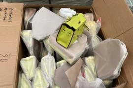 Kiểm tra 2 lô hàng quá cảnh, phát hiện hàng chục nghìn sản phẩm giả mạo nhãn hiệu nổi tiếng