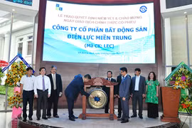 Thua lỗ 3 năm liên tiếp, cổ phiếu Land Central (LEC) bị hủy niêm yết