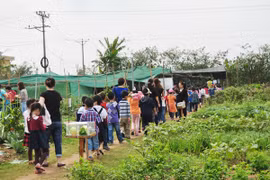 Học sinh dã ngoại đầu năm: Cần thiết nhưng phải an toàn