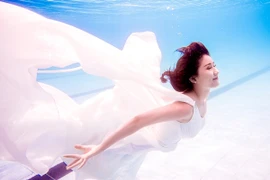 Khởi động chương trình "Tìm kiếm Ngôi sao quảng cáo 2015"