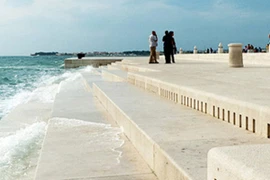 Cây đàn biển khổng lồ