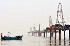 Phát hiện mỏ vàng 470 tấn dưới biển