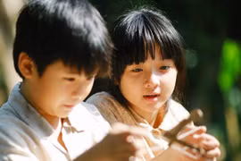 Xem miễn phí 20 phim Việt tranh giải "Bông Sen Vàng 2015" 