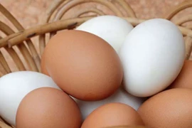 Trứng màu nâu tốt hơn trứng trắng?