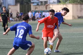 Chờ những bất ngờ thú vị