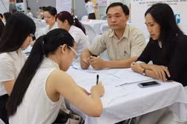 Cảnh giác với "mê cung" giới thiệu việc làm