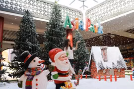 Giới trẻ Đà Nẵng hào hứng ngắm "tuyết rơi" ở Asia Park