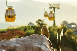 Bà Nà Hills đón 2 triệu lượt khách tham quan