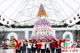 Đón giáng sinh với cây thông gấu bông lớn nhất Việt Nam tại Asia Park