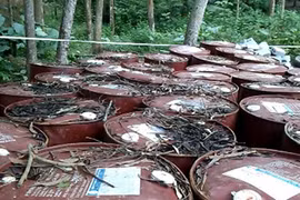 Điều tra vụ chôn thuốc trừ sâu quá hạn ở Thanh Hóa