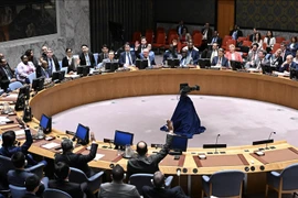 Hội đồng Bảo an Liên hợp quốc họp khẩn sau vụ thủ lĩnh Hamas bị ám sát