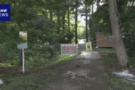 Phát hiện 3 con gấu, di tích cổ ở Nhật Bản phải tạm đóng cửa